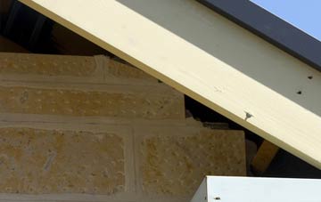soffit repair Send Grove